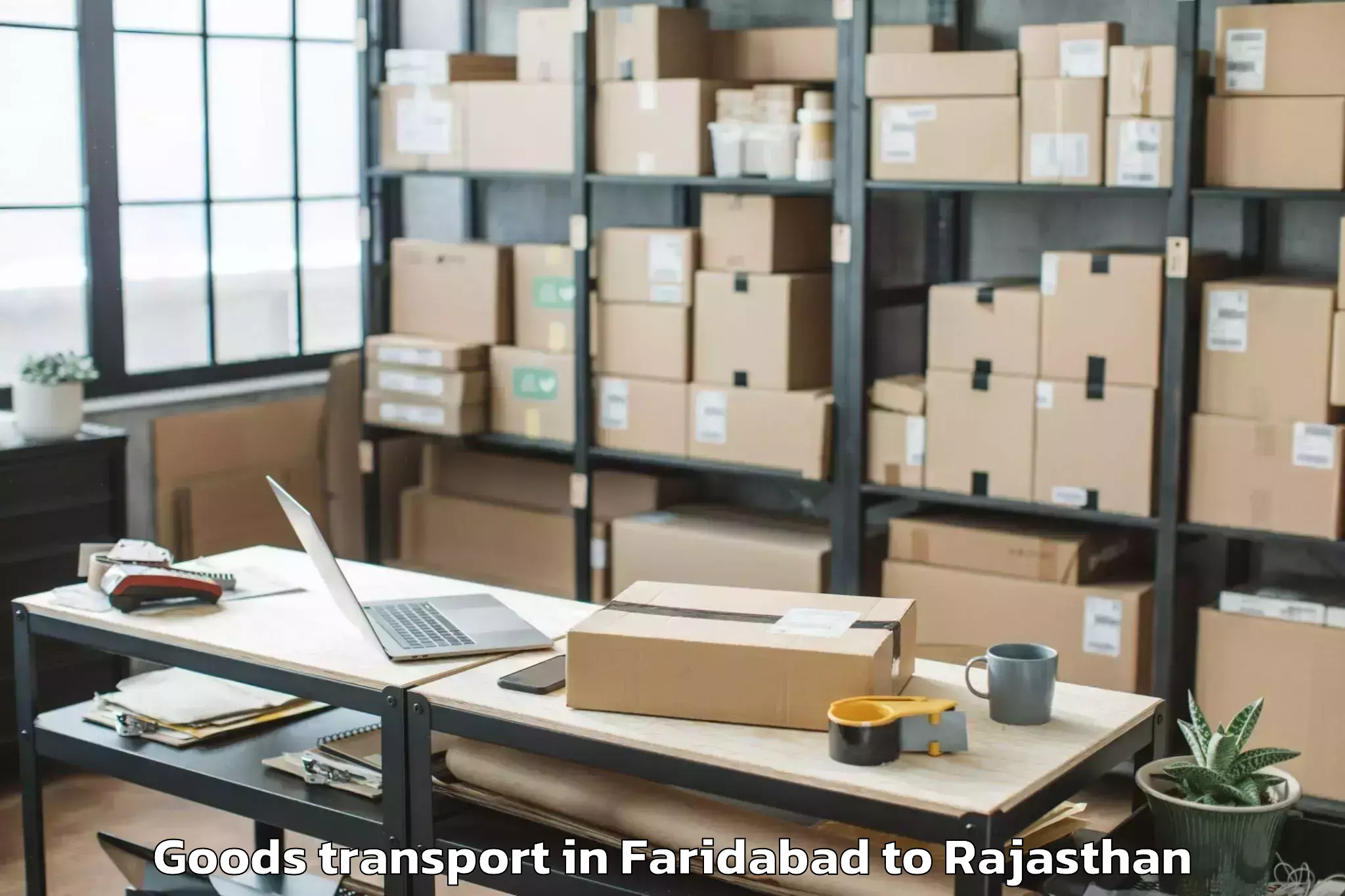 Reliable Faridabad to Kota Airport Ktu Goods Transport